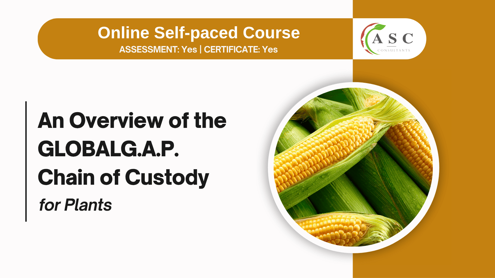 GlobalG.A.P. Chain of Custody Standard and Certification Process Course for Plants