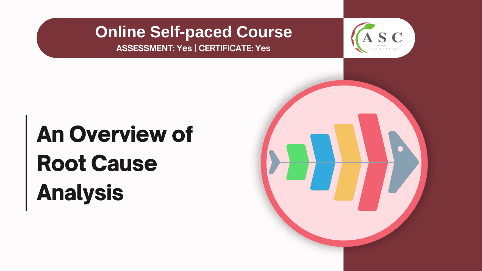 An Overview of Root Cause Analysis Course